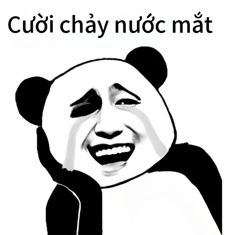 Meme gấu trúc cười vui nhộn hot trend