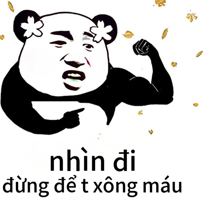 Meme gấu trúc dỗi troll vui nhộn