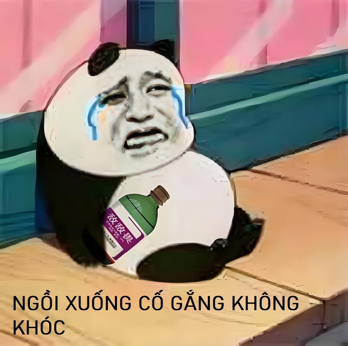 Meme gấu trúc khóc cực chất