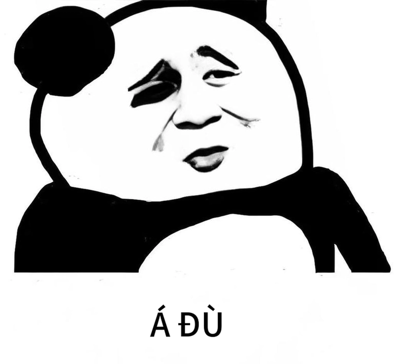 Meme gấu trúc mất ngủ ngộ nghĩnh đáng yêu