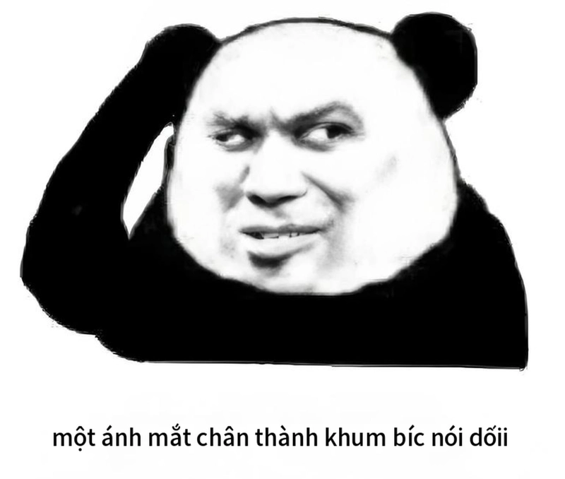 Meme gấu trúc mắt thâm cực kỳ đáng yêu