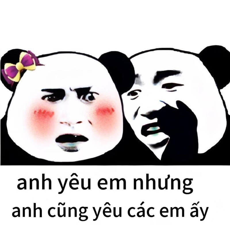 Meme gấu trúc mắt thâm ngộ nghĩnh