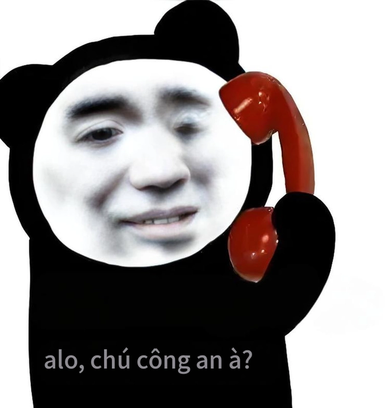 Meme gấu trúc mắt thâm vui nhộn