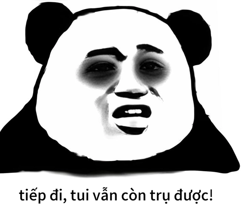 Meme gấu trúc mệt mỏi đầy hài hước