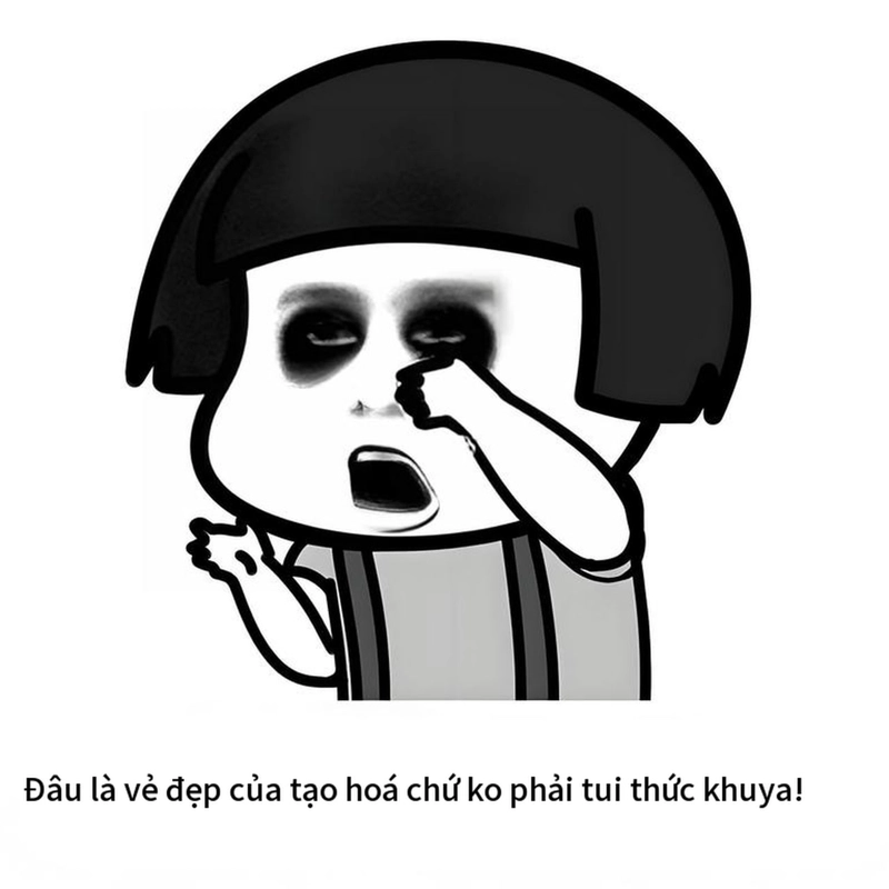 Meme gấu trúc mệt mỏi ngộ nghĩnh đầy biểu cảm