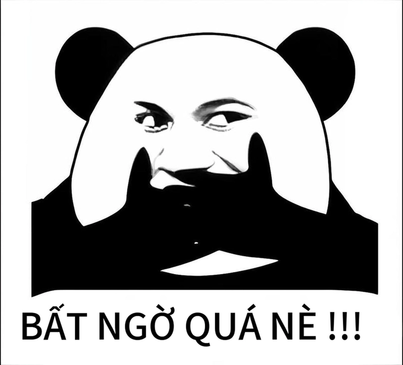 Meme gấu trúc ngạc nhiên ngộ nghĩnh hài hước