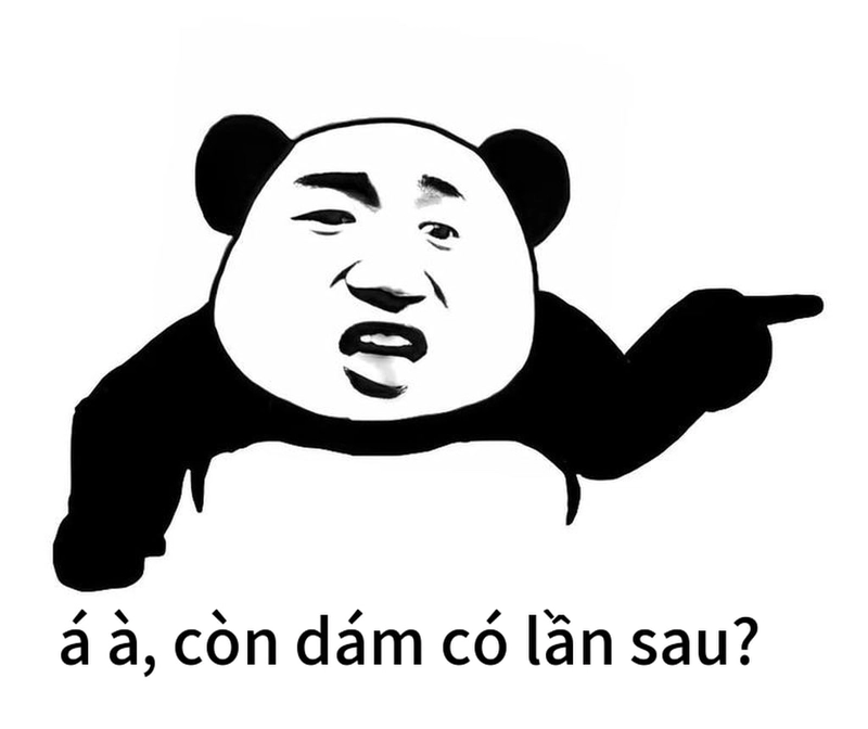 Meme gấu trúc ngang ngược biểu cảm hài hước