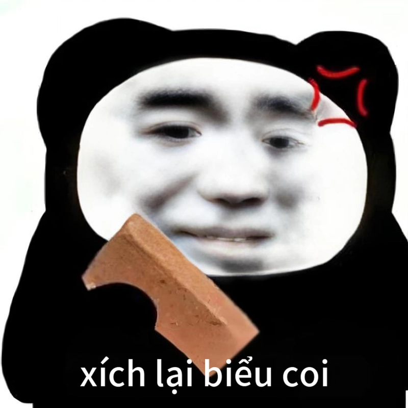 Meme gấu trúc ngang ngược châm biếm vui tính