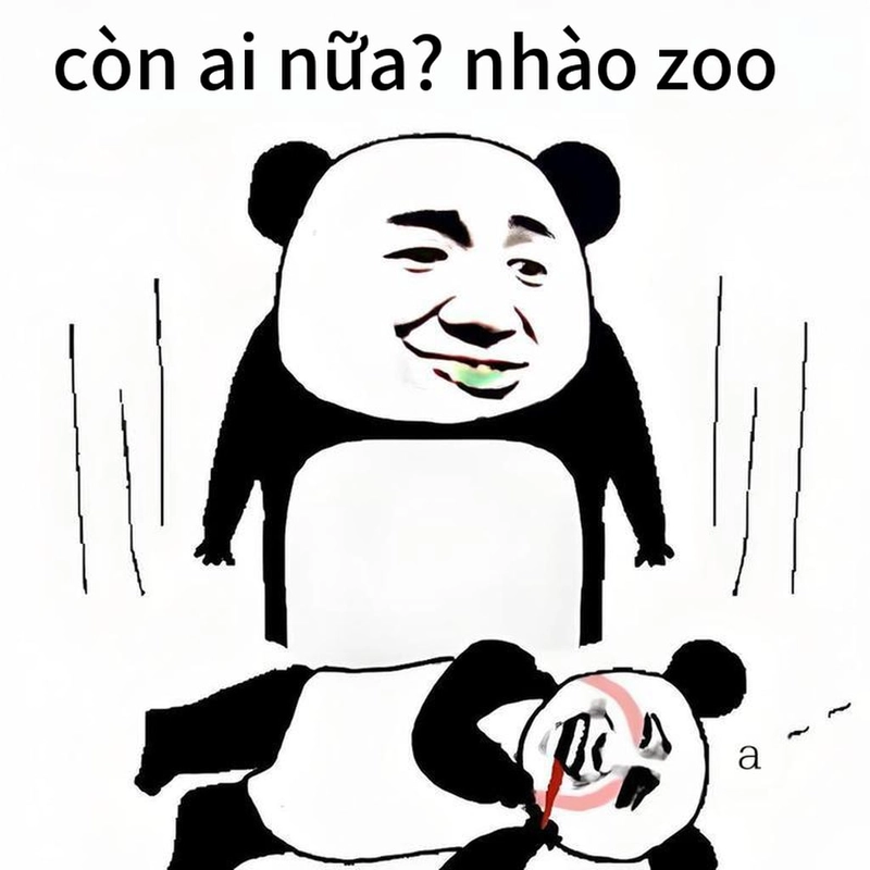 Meme gấu trúc ngang ngược cực hot năm nay