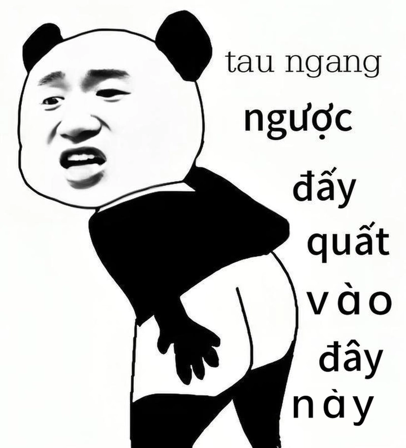 Meme gấu trúc ngang ngược cực troll bá đạo