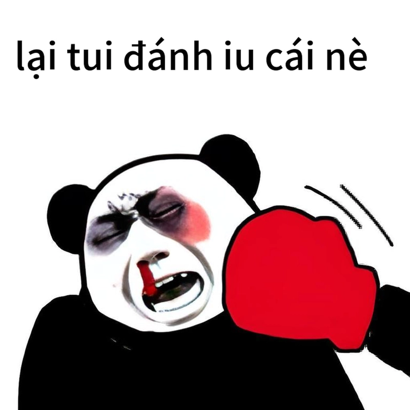 Meme gấu trúc ngang ngược hài hước lan truyền