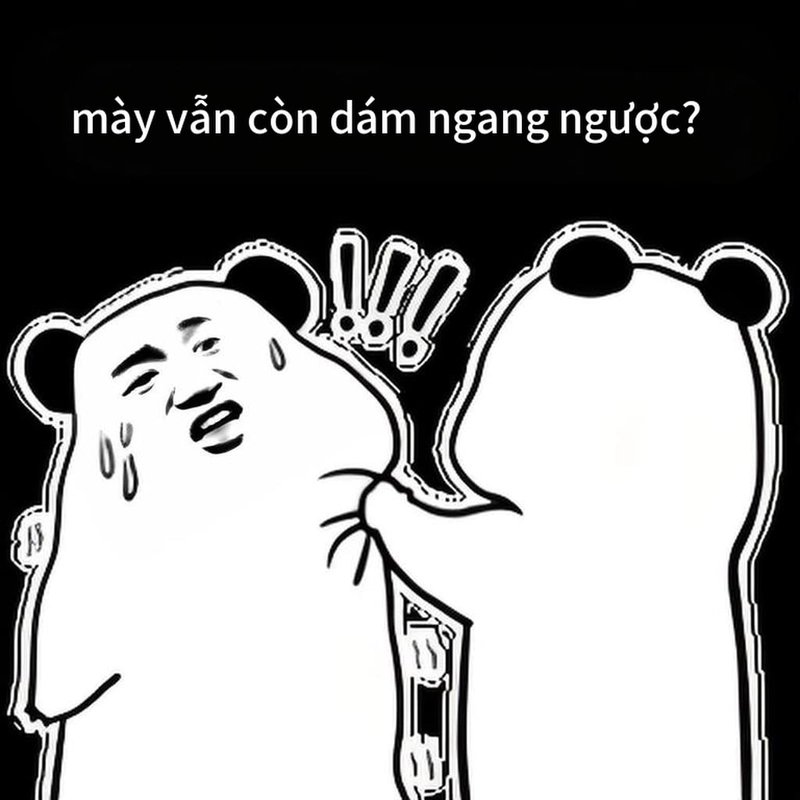 Meme gấu trúc ngang ngược hài troll cực mạnh