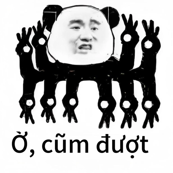Meme gấu trúc ok hài hước