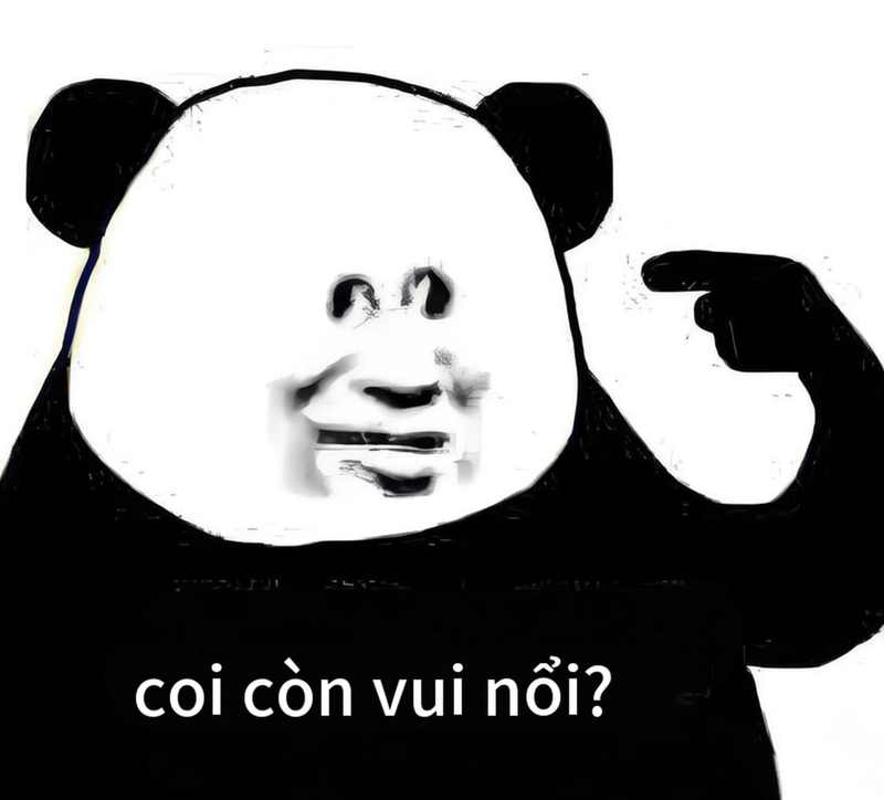 Meme gấu trúc thức khuya cực ngộ nghĩnh