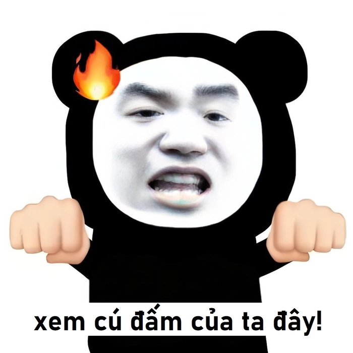 Meme gấu trúc tức giận chế troll