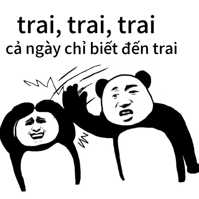 Meme gấu trúc tức giận cực hài