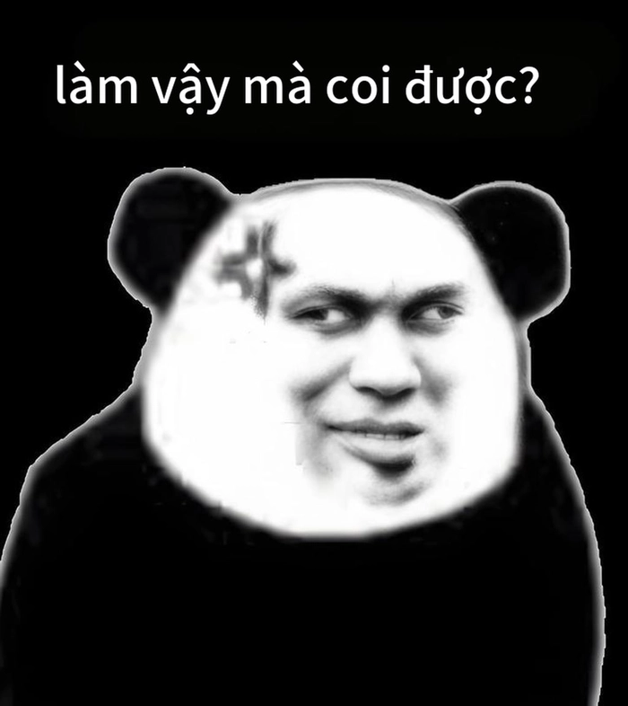 Meme gấu trúc tức giận khó đỡ