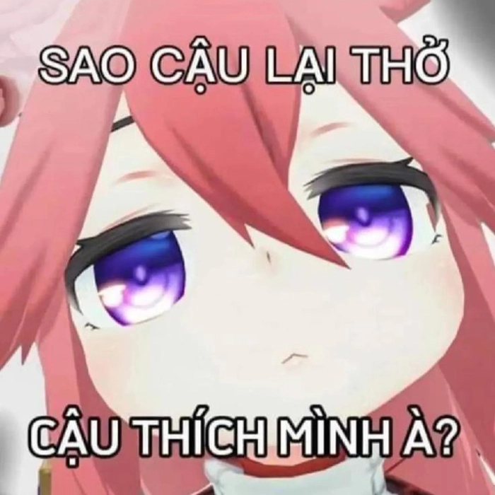 Ảnh chế hài hước Genshin Impact meme