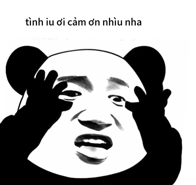 Ảnh chế meme gấu trúc đa tạ bá đạo