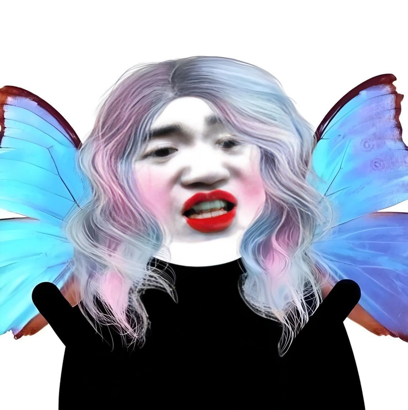 Ảnh chế meme gấu trúc slay cute