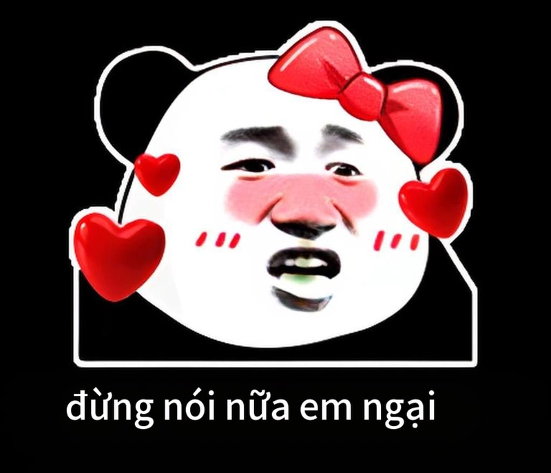 Ảnh chế meme gấu trúc thả tim cute