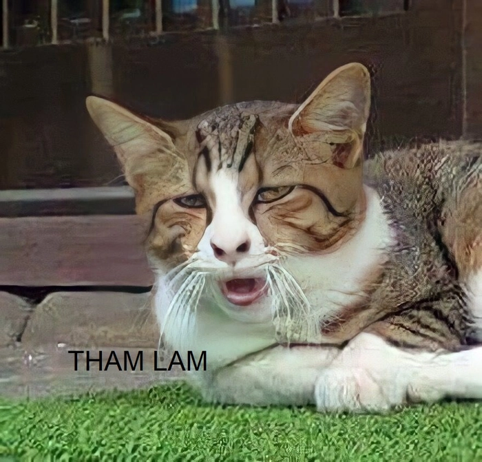 Ảnh chế meme tham lam vui nhộn