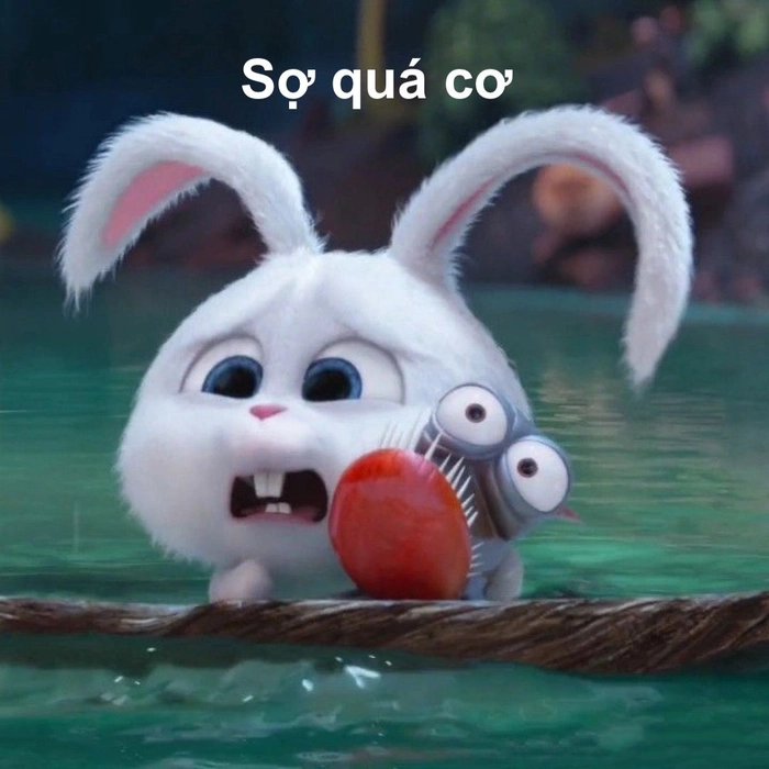 Ảnh chế thỏ Snowball dễ thương