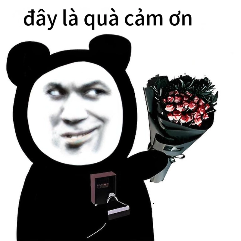 Ảnh hài hước meme gấu trúc vui nhộn