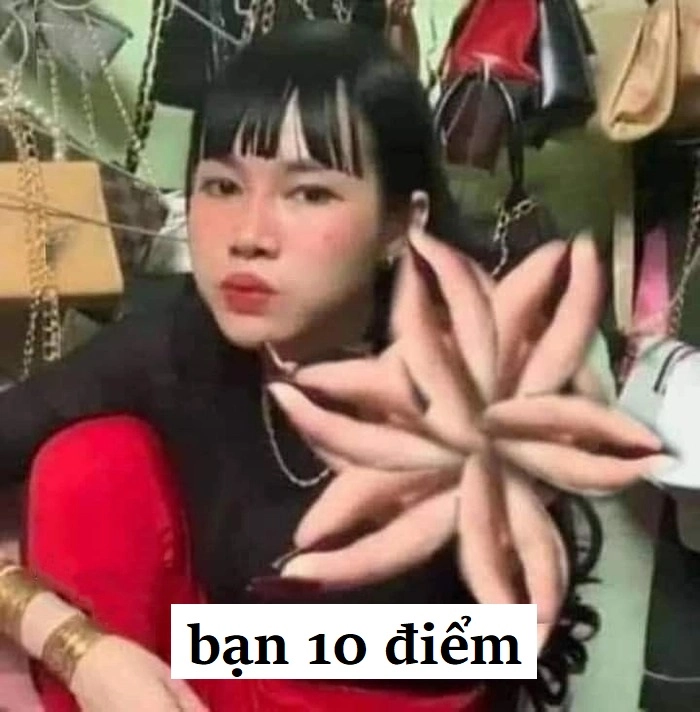 Ảnh meme 10 điểm không có nhưng hài cực mạnh