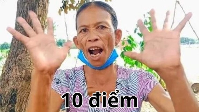 Ảnh meme 10 điểm mèo đáng yêu hài hước