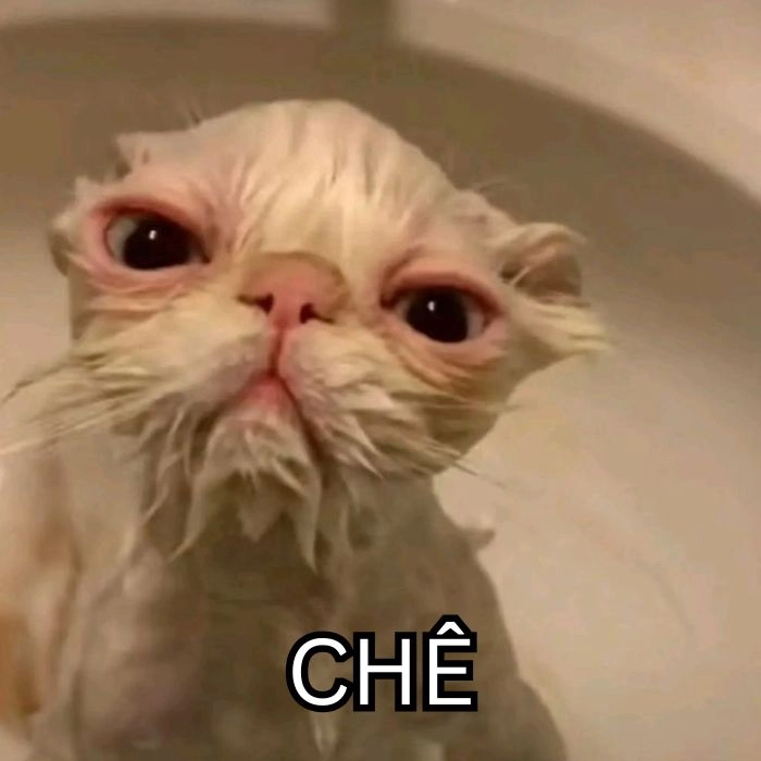 Ảnh meme chê siêu hài cực ngầu