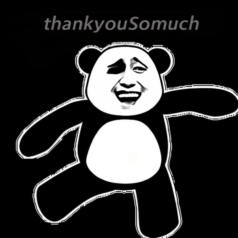 Ảnh meme gấu trúc đa tạ hài hước