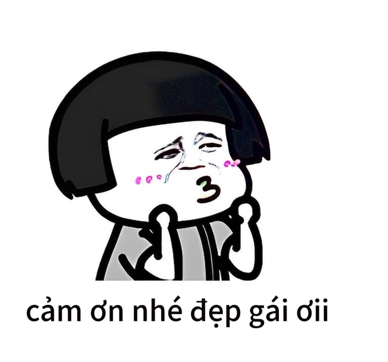 Ảnh meme gấu trúc đa tạ ngộ nghĩnh