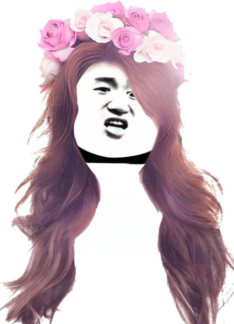 Ảnh meme gấu trúc slay hot nhất
