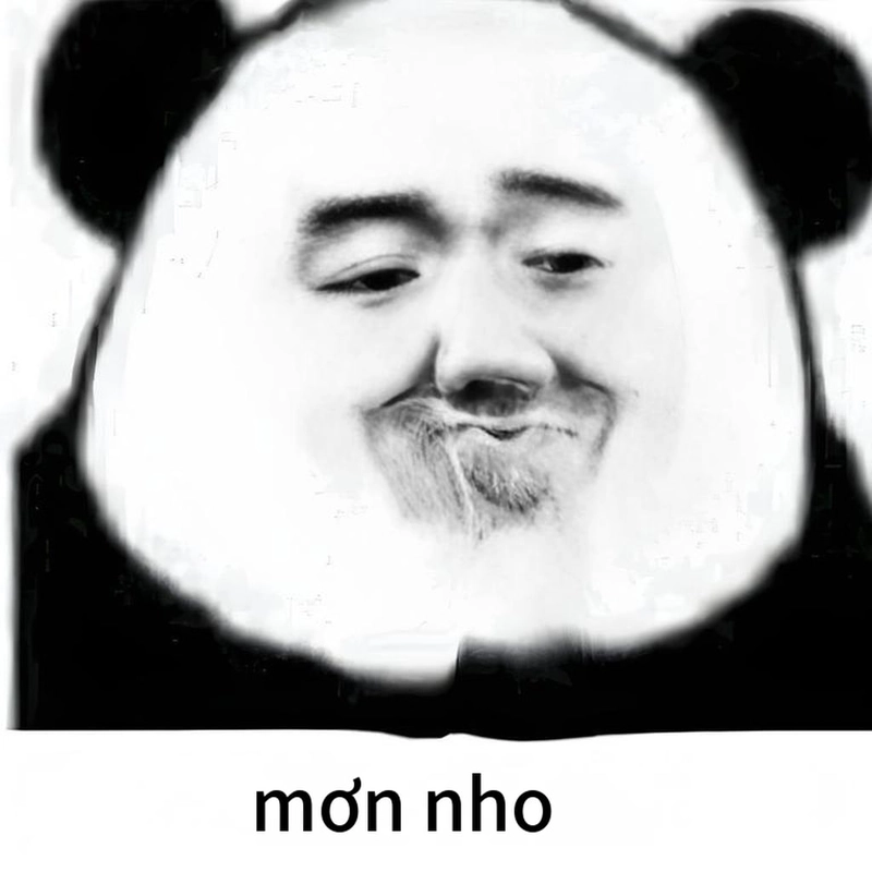 Ảnh meme hài gấu trúc troll bá đạo