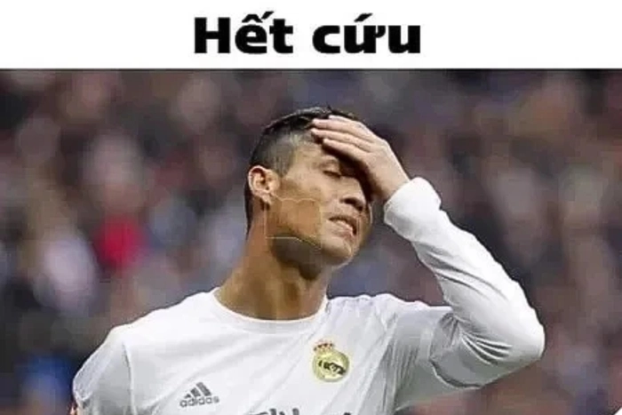 Ảnh meme hết cứu bá đạo