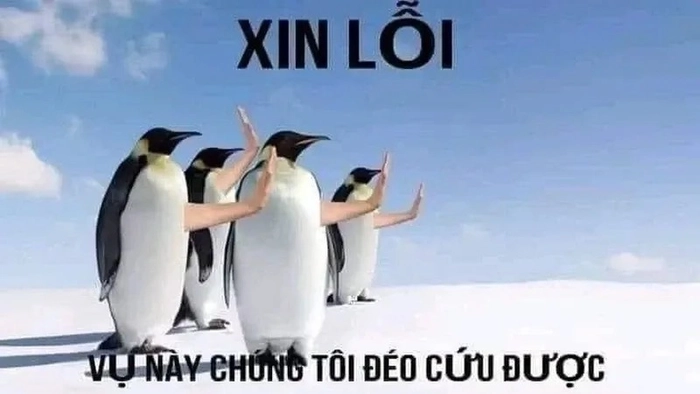 Ảnh meme hết cứu cực hài