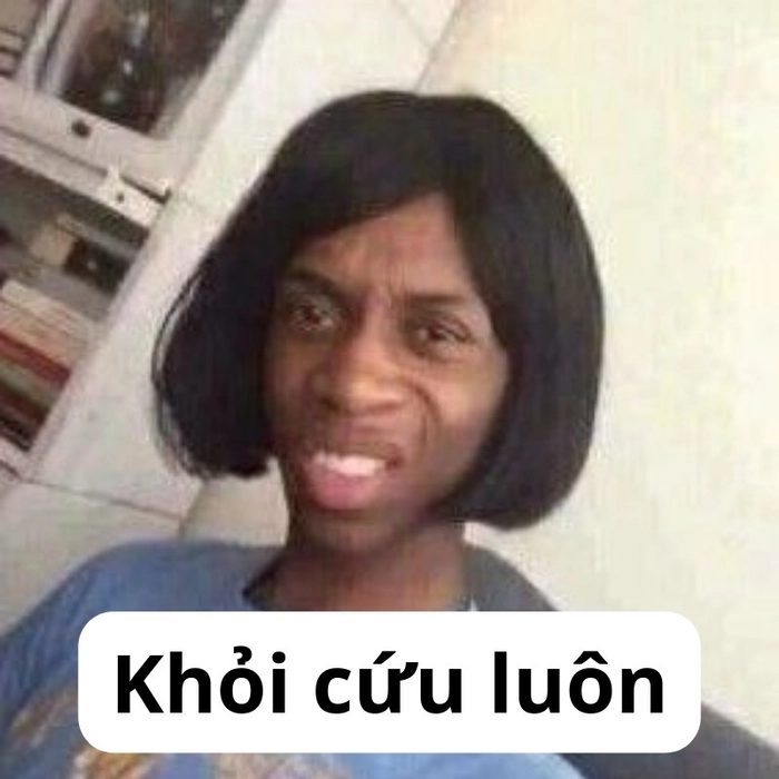 Ảnh meme hết cứu lầy lội đáng yêu