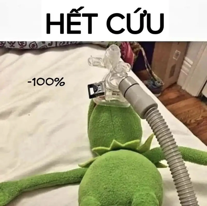 Ảnh meme hết cứu vui nhộn độc đáo