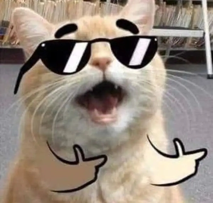 Ảnh meme ngầu hài hước độc đáo