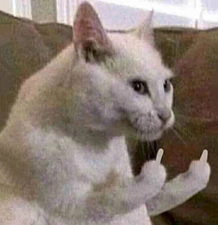 Ảnh meme ngón giữa hài hước bá đạo