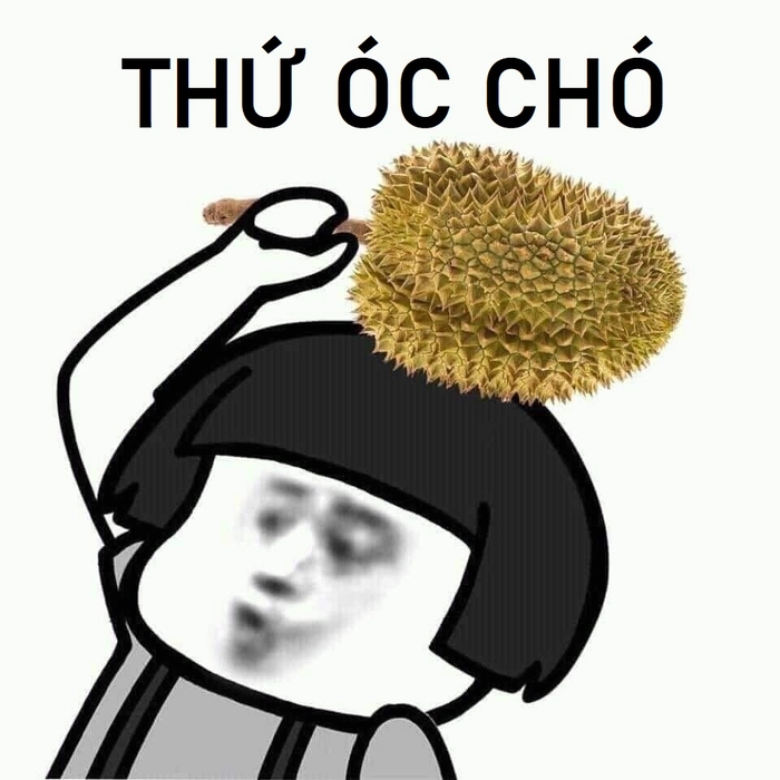 Ảnh meme óc chó chế vui độc lạ