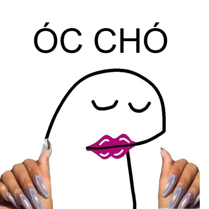 Ảnh meme óc chó độc đáo hài hước