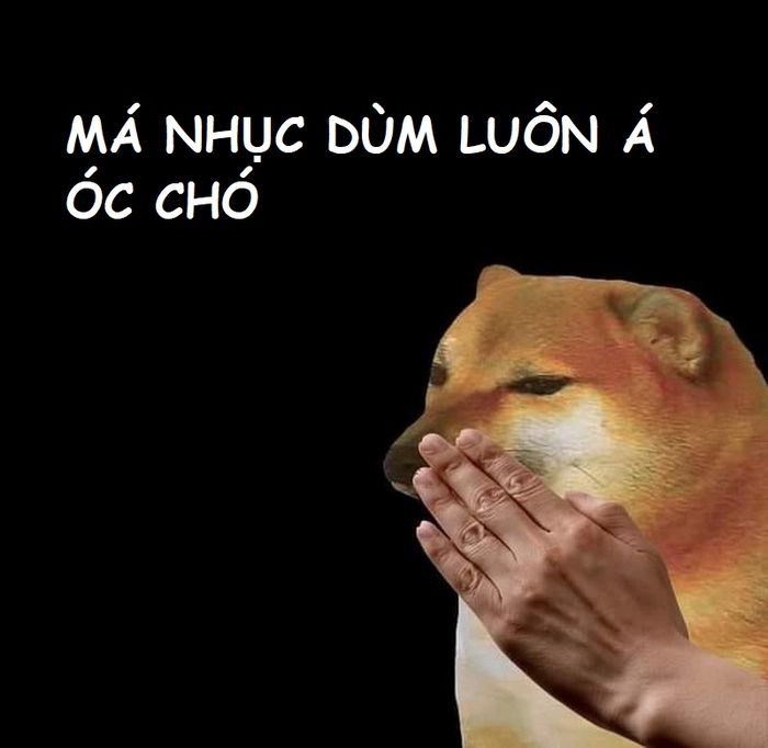 Ảnh meme óc chó lầy lội ấn tượng