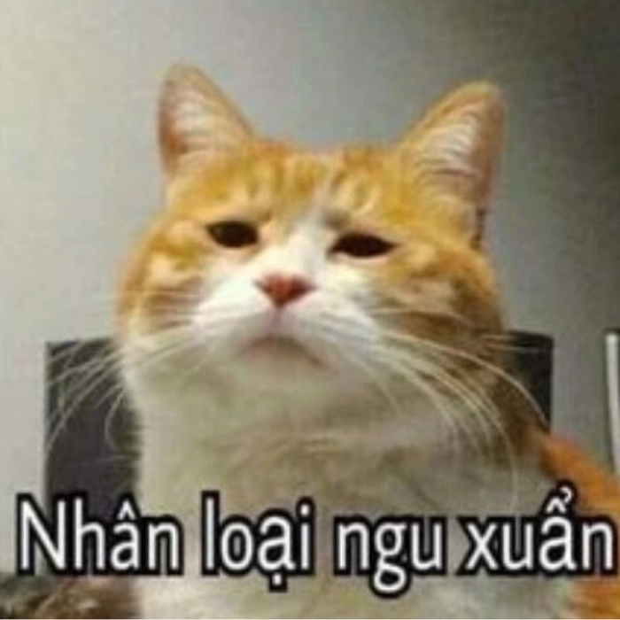 Ảnh ngầu meme cực bá chất chơi