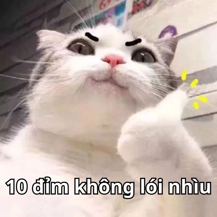 Ảnh ngầu meme độc lạ siêu bá