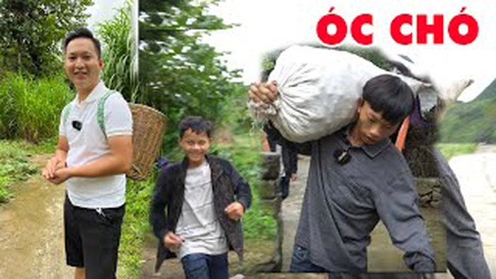 Ảnh óc chó meme chế hài sáng tạo