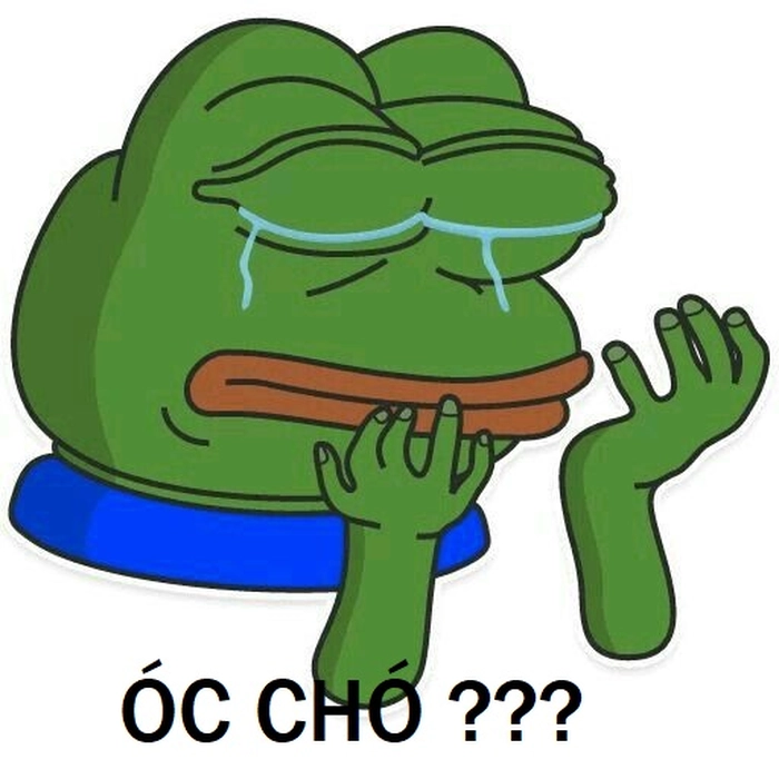 Ảnh óc chó meme hài hước bùng nổ