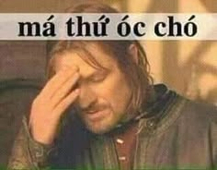 Ảnh óc chó meme siêu lầy khó đỡ