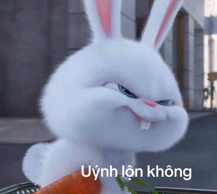 Ảnh thỏ Snowball cute chế độc đáo